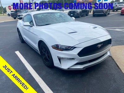 2019 Ford Mustang EcoBoost