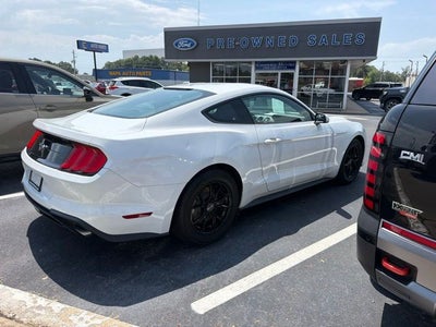 2019 Ford Mustang EcoBoost