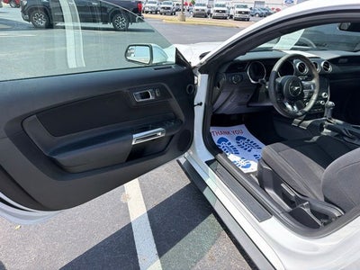 2019 Ford Mustang EcoBoost