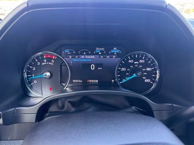 2020 Ford F-250SD Platinum SRW CREW CAB 4X4